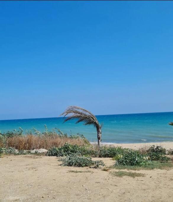 Appartamento Ca' Sole Butera Esterno foto